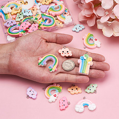 48Pcs 12 Style Resin Pendants&nbsp;RESI-KS0001-10