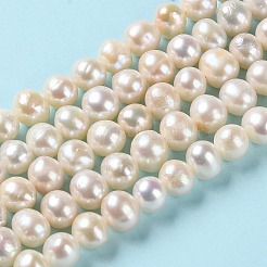Natural Cultured Freshwater Pearl Beads Strands&nbsp;PEAR-E018-38