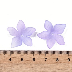Transparent Acrylic Beads Caps&nbsp;OACR-B022-02A