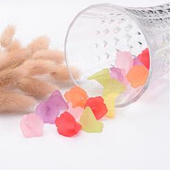 Mixed Transparent Acrylic Flower Beads&nbsp;X-PL551M