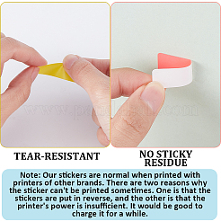10 Rolls Paper Tag&nbsp;DIY-SP0006-71