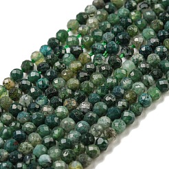 Natural Moss Agate Beads Strands&nbsp;G-K020-3mm-32