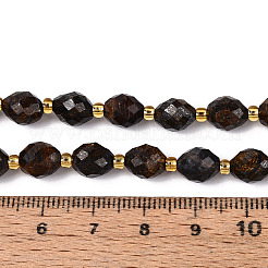 Natural Bronzite Beads Strands&nbsp;G-N342-53-8x6-06