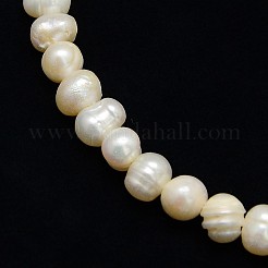 Natural Cultured Freshwater Pearl Beads Strands&nbsp;PEAR-L001-C-14