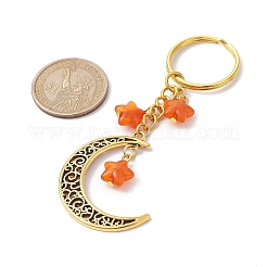 Tibetan Style Alloy Hollow Moon Pendant Keychain&nbsp;KEYC-JKC00690-04