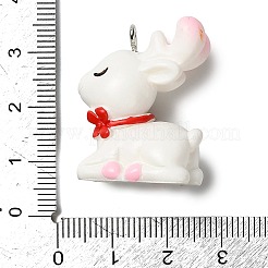 イースターテーマの不透明樹脂ペンダント  プラチナ鉄ループ付き  兎  30.5x14x23.5mm  穴：2mm&nbsp;RESI-I336-01P-04