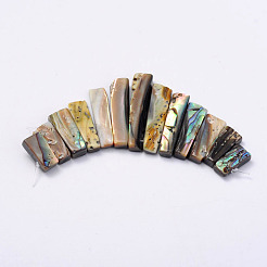 Rectangle Natural Abalone Shell/Paua ShellGraduated Beads Strands&nbsp;SSHEL-P002-05