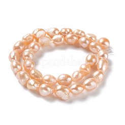 Natural Cultured Freshwater Pearl Beads Strands&nbsp;PEAR-Z002-23