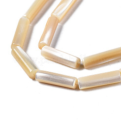 Natural Trochid Shell/Trochus Shell Beads Strands&nbsp;X-SSHEL-S266-020B-03