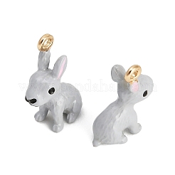Alloy Enamel Pendants&nbsp;AL-CBAC5EF-03G-02
