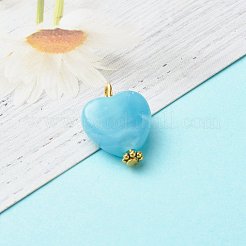 Acrylic Pendants&nbsp;PALLOY-JF00832
