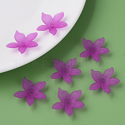Transparent Acrylic Beads&nbsp;MACR-S373-127-D07