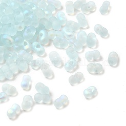 Glass Frosted Seed Beads&nbsp;SEED-NH0002-01D