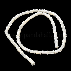 Natural Trochid Shell/Trochus Shell Beads Strands&nbsp;SHEL-XCP0001-11