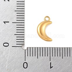 304 Stainless Steel Charms&nbsp;STAS-Q351-06G