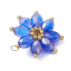 Glass Pendantns&nbsp;PALLOY-MZ01143-01