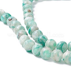 Natural Selenite Beads Strands&nbsp;G-K317-A18-01