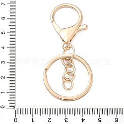 Alloy Keychain Clasps&nbsp;FIND-C084-10KCG