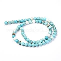Natural Howlite Beads Strands&nbsp;X-G-L555-02-6mm
