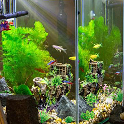 9個 9スタイル プラスチック製人工水槽植物  自宅オフィスの水槽の装飾用  ミックスカラー  40~100x35~70x25~45mm  1個/スタイル&nbsp;DJEW-DR0001-10