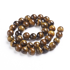 Natural Tiger Eye Beads Strands&nbsp;Z0RQX013