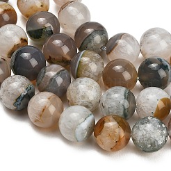Natural Agate Beads Strands&nbsp;GG-L001-L02-03D