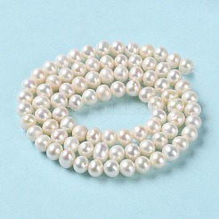 天然養殖淡水パールビーズ連売り  ラウンド  グレード3 A  パパイヤホイップ  5~5.5mm  穴：0.5mm  約76~83個/連  15.16~15.35''（38.5~39センチメートル）&nbsp;PEAR-E018-99