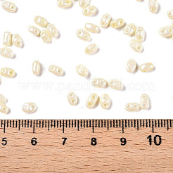 Opaque Colours Luster Glass Seed Beads&nbsp;SEED-T006-02K
