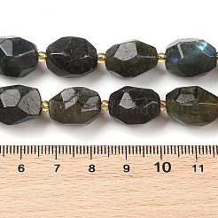 Natural Labradorite Beads Strands&nbsp;G-P541-A01-08