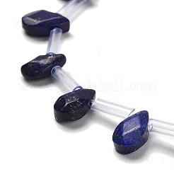 Natural Lapis Lazuli Beads Strands&nbsp;G-Q167-A25-02