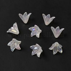 Transparent Acrylic Bead Caps&nbsp;LS-X-OACR-H016-03