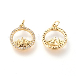 Brass Micro Pave Clear Cubic Zirconia Charms&nbsp;ZIRC-L098-025G