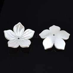 ABS Plastic Imitation Pearl Beads&nbsp;OACR-N012-001