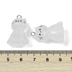 Luminous Resin Pendants&nbsp;RESI-R460-01A