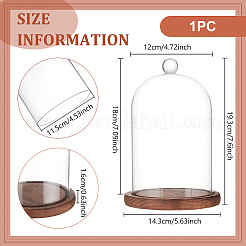Glass Dome Cover&nbsp;AJEW-WH0270-199