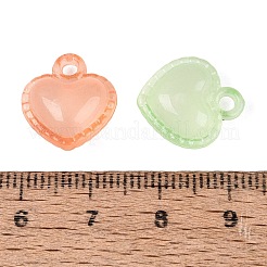 Luminous Transparent Acrylic Pendants&nbsp;OACR-Q197-17