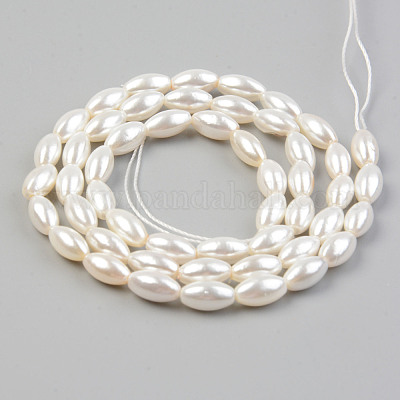 Natural Freshwater Shell Beads Strands&nbsp;SHEL-T017-12-1