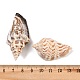 Natural Conch Shell Beads&nbsp;BSHE-O007-57-2