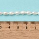 Electroplate Shell Pearl Beads Strands&nbsp;BSHE-G010-4x6mm-01-5