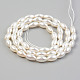 Natural Freshwater Shell Beads Strands&nbsp;SHEL-T017-12-2