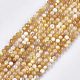 Yellow Shell Beads Strands&nbsp;SHEL-S274-93C-1