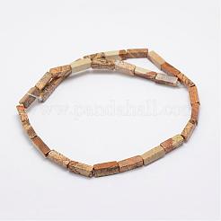 Natural Picture Jasper Beads Strands&nbsp;G-E342-04