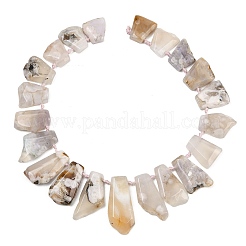 Natural Cherry Blossom Agate Beads Strands&nbsp;G-B187-B02-01