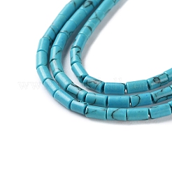 Dyed Synthetic Turquoise Beads Strands&nbsp;G-B124-A03-01