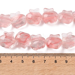 内側の花の手作りランプワークビーズ連売り  りんご  鮭色  15.5x15x9mm  穴：1.2mm  約24個/連  13.39インチ（34cm）&nbsp;LA-CBA3F7A-01F