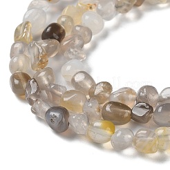 Natural Agate Beads Strands&nbsp;G-D081-A04