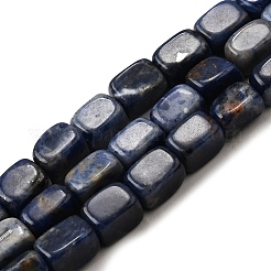 Natural Sodalite Beads Strands&nbsp;G-F791-C04