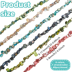 6連売り6色エロースシェルビーズ連売り  染め  ミックスカラー  8~17.5x5~8x5mm  穴：1mm  16インチ/連  40個/連  1本/色&nbsp;BSHE-HY0001-05