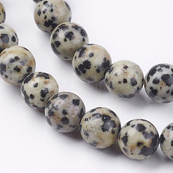 Natural Dalmatian Jasper Stone Bead Strands&nbsp;G-R193-14-8mm