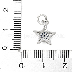 Brass Micro Pave Cubic Zirconia Charms&nbsp;KK-U056-41P